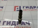Катушка зажигания Renault Megane 2 224333529R