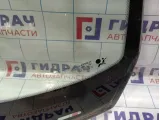 Стекло лобовое Renault Megane 2 8200200549