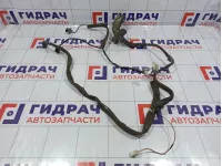 Проводка двери передней правой Renault Megane 2 8200525185