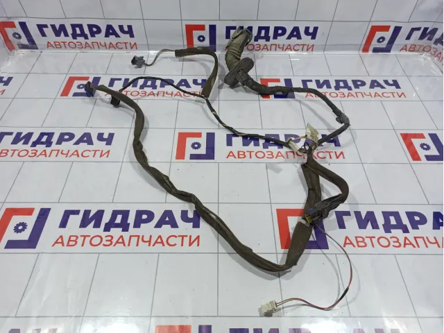 Проводка двери передней правой Renault Megane 2 8200525185