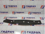 Кожух замка капота Renault Megane 2 8200116717