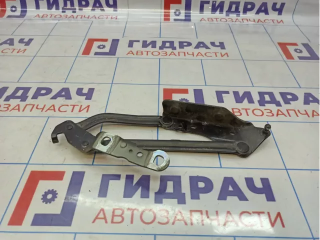 Петля крышки багажника левая Renault Megane 2 8200011067