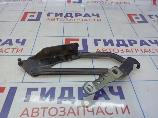 Петля крышки багажника правая Renault Megane 2 8200011068