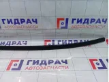 Молдинг крыши левый Renault Megane 738530110R