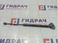 Амортизатор крышки (двери) багажника левый Renault Megane 904510001R