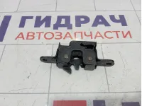 Замок капота Renault Megane 656010010R