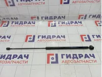 Амортизатор капота Renault Megane 654710003R