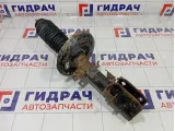Амортизатор передний Renault Megane 543023532R