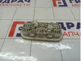 Плафон салонный Renault Megane 264300008R