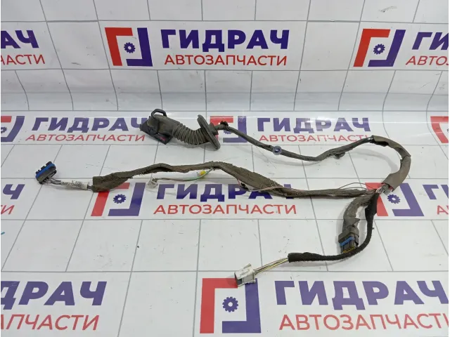 Проводка двери задней левой Renault Megane 2 8200217370