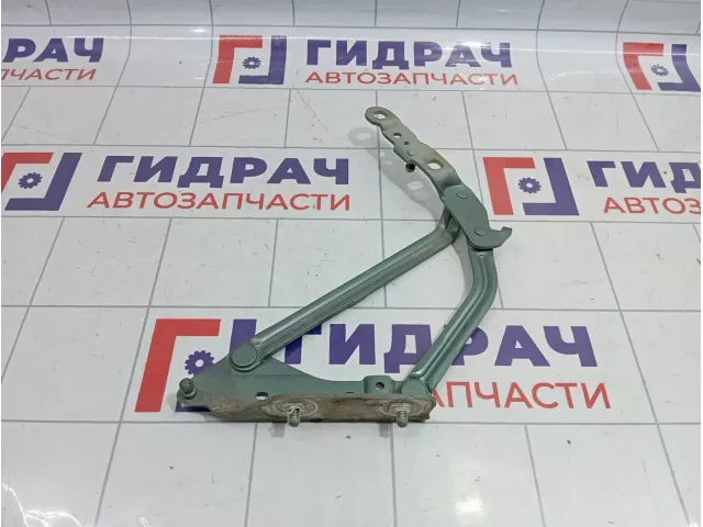 Петля крышки багажника левая Renault Megane 2 8200011067