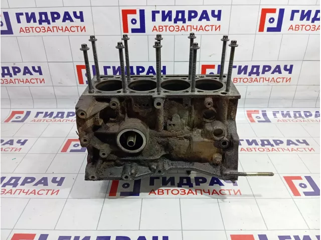 Блок двигателя Renault Megane 2 7701476932