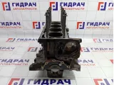 Блок двигателя Renault Megane 2 7701476932