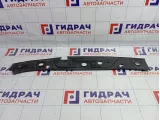 Кожух замка капота Renault Megane 2 8200116717