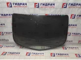 Стекло заднее Renault Megane 2 8200600189