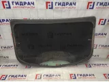 Стекло заднее Renault Megane 2 8200600189