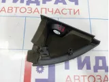 Крышка зеркала внутренняя правая Renault Megane 2 8200034905