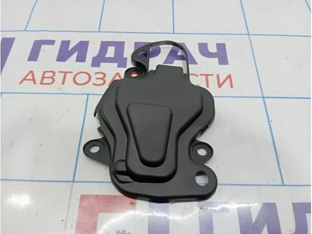 Крышка фонаря правого Renault Megane 2 8200598908