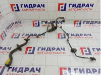 Проводка двери задней левой Renault Megane 3 241278348R