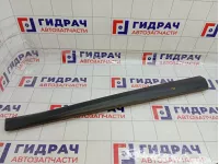 Накладка двери передней левой Renault Megane 3 808770010R