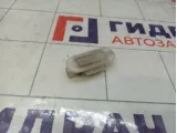 Плафон салонный Renault Megane 3 8200074365