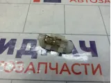 Плафон салонный Renault Megane 3 8200074365