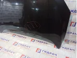 Капот Renault Megane 3 651009018R