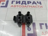 Катушка зажигания Renault Sandero Stepway (5S) 224336134R