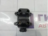 Катушка зажигания Renault Sandero Stepway (5S) 224336134R