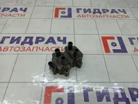 Катушка зажигания Renault Sandero 224336134R