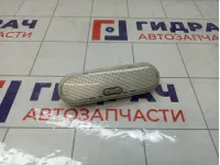 Плафон салонный Renault Sandero 264300167R