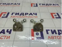 Петли двери задней правой Renault Sandero