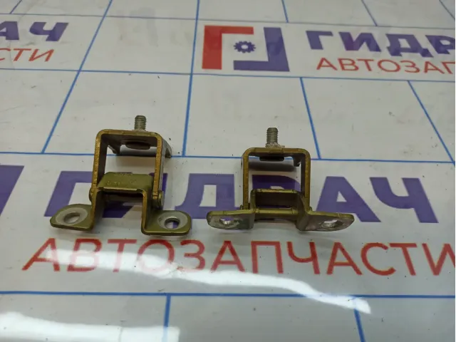 Петли двери багажника Renault Sandero Stepway (5S)