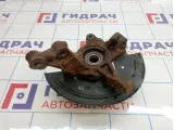 Кулак поворотный передний левый Renault Sandero Stepway (5S) 400158414R