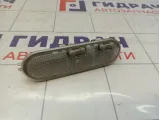 Плафон салонный Renault Scenic 8200073231