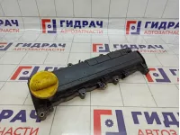 Крышка головки блока (клапанная) Renault Scenic 132654861R