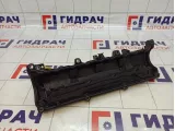 Крышка головки блока (клапанная) Renault Scenic 132654861R