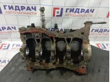 Блок двигателя Renault Scenic 110103691R