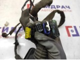 Проводка двери передней правой Renault Scenic 2 8200466103. Дефект.