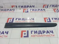 Молдинг двери задней левой Renault Symbol  7700410280