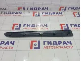 Молдинг двери задней левой Renault Symbol  7700410280