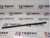 Накладка стекла заднего правого SsangYong Kyron (D200) 7352009000