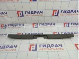 Обшивка двери багажника Hyundai Santa Fe (SM) 8176026010YD