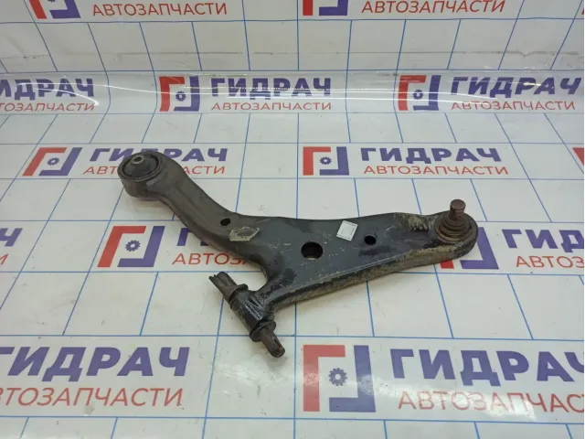 Рычаг передний левый Hyundai Santa Fe (SM) 54501-28000
