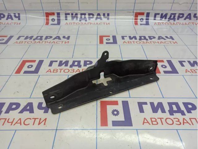 Кожух замка капота Hyundai Santa Fe (SM) 81195-26000