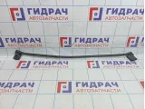 Накладка стекла заднего правого SEAT Leon (1P) 1P0839478E