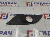 Решетка в бампер правая SEAT Leon (1P) 1P0853666A9B9