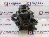 Блок двигателя Skoda Fabia (MK2) 03D103019S