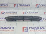 Решетка в бампер центральная Skoda Fabia (MK2) 5J0853677A9B9