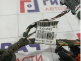 Проводка двери передней левой Skoda Fabia (MK2) 5J0120ES
